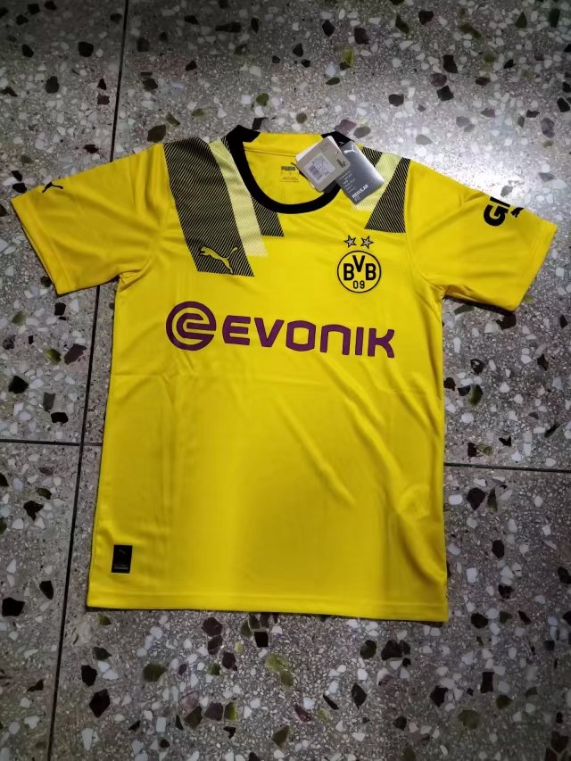 Dortmund fans version 22-23 jersey