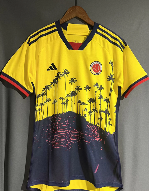 2024 Colombia fans version training jersey