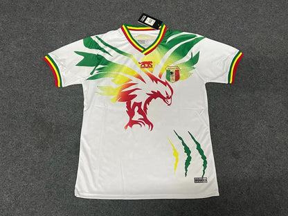 Mali 2023 home fans version jersey